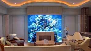 Какво трябва да се направи с аквариума, ако стаята е реновирана?